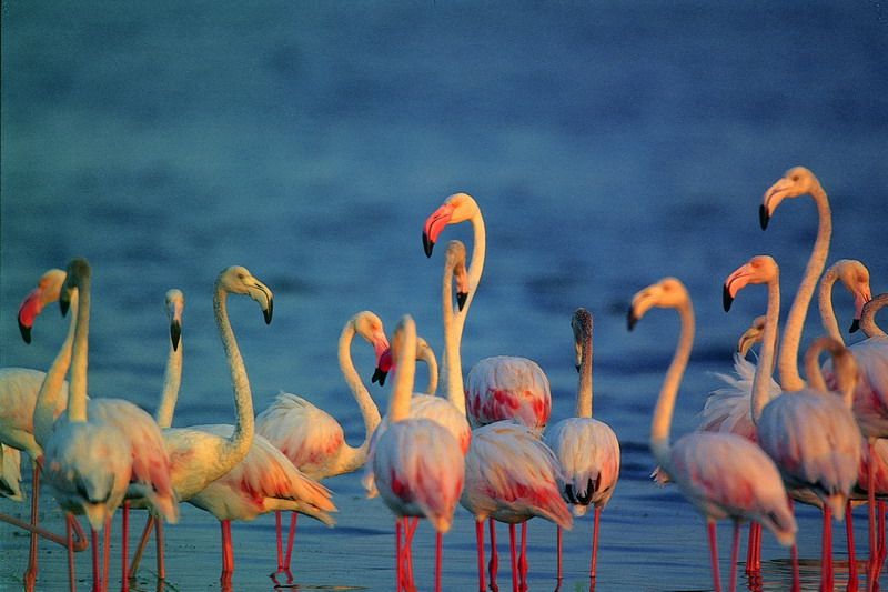 Bundala National Park — Southern Province, Sri Lanka