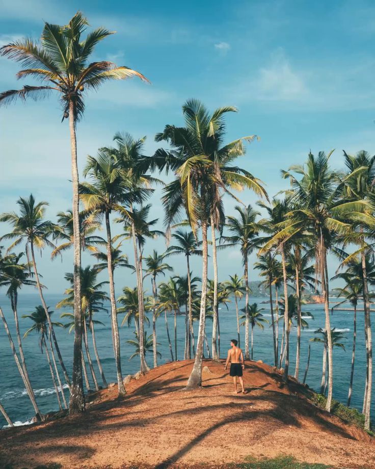 Coastal Escape
