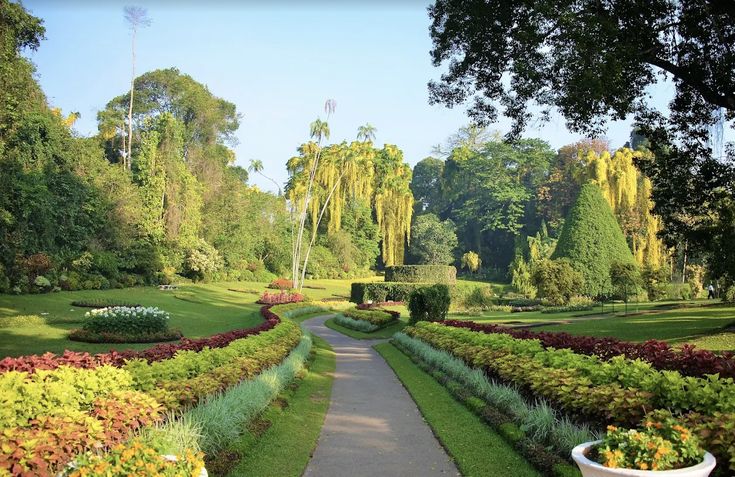 Royal Botanical Gardens, Peradeniya — Central Province, Sri Lanka